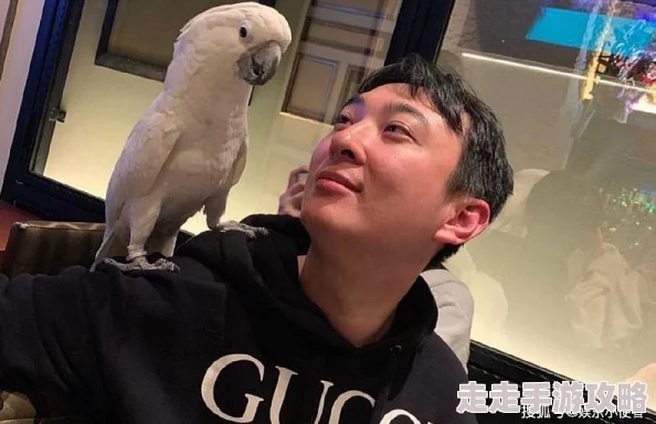 4虎换哪个网名了？这引发了网友们的热议，大家纷纷猜测他们的新身份和背后的故事