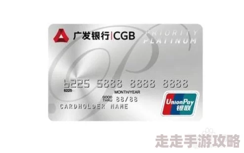 janpense visa black＂：这是一种高端信用卡，旨在为持卡人提供独特的消费体验和丰富的福利服务