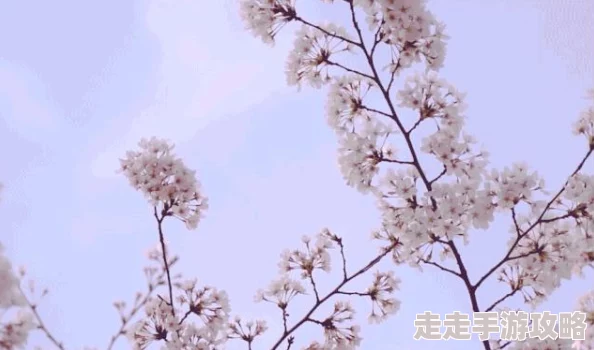 激情视频辣妞范1000部：最新热门影片推荐，带你领略不一样的视觉盛宴与精彩内容！