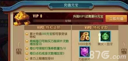 萌将轰轰轰VIP价格表全面解析及氪金等级一览，尊享特权尽在其中