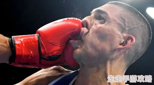 变态拳头交videos：最新动态与精彩瞬间，带你领略不一样的拳击世界和独特风格！
