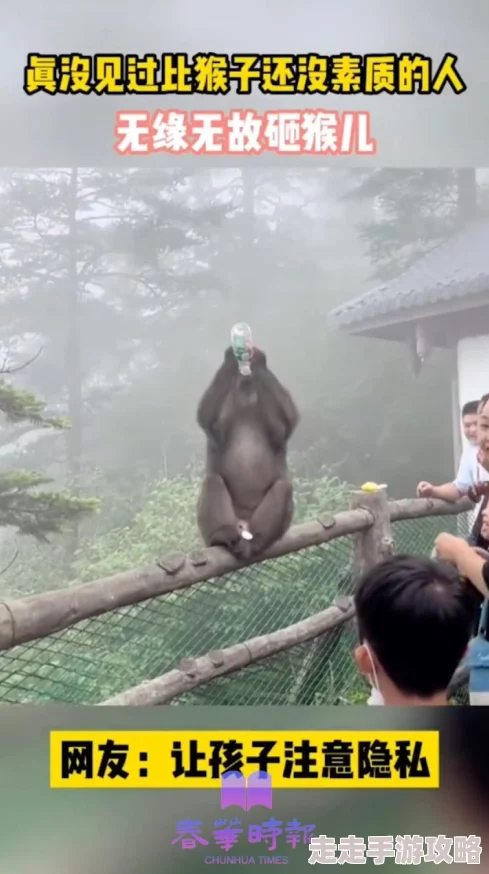 二人生猴子视频引发热议,网友纷纷讨论其背后的故事与意义 二人生猴子视频引发热议,网友纷纷讨论其背后的故事与意义