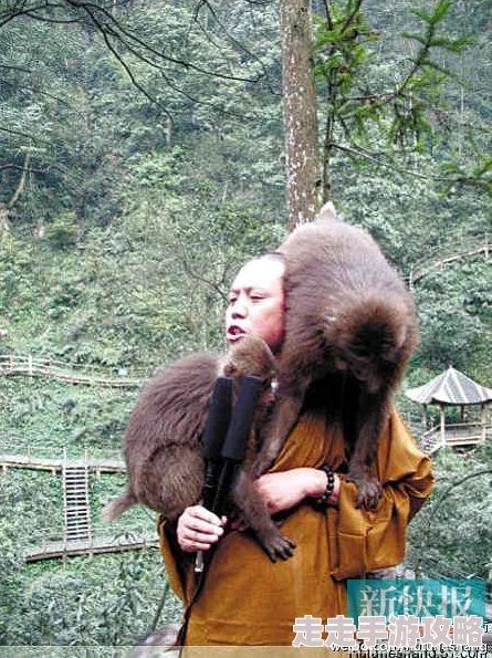 二人生猴子视频引发热议,网友纷纷讨论其背后的故事与意义 二人生猴子视频引发热议,网友纷纷讨论其背后的故事与意义