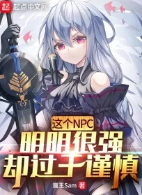 穿越到湮婸世界NPC的小说：主角如何在虚拟与现实之间寻找自我，揭开隐藏的秘密与冒险之旅