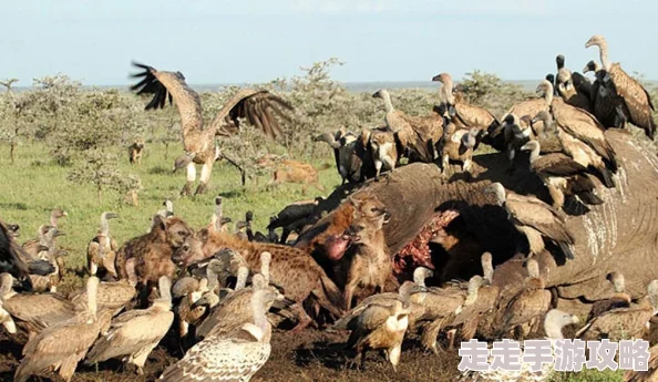 色狗导航:全新智能导航系统上线,助你轻松找到最美风景与美食! 色狗导航:全新智能导航系统上线,助你轻松找到最美风景与美食!
