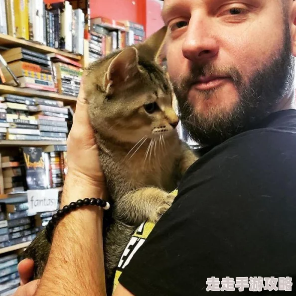 高效猫咪和汤前期快速赚钱秘诀：详尽攻略大分享